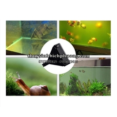 DAO CẠO RÊU NHÔM MUFAN VỆ SINH HỒ KÍNH