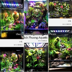 KEO XỊT MIUS MOS GUM -  DÁN RÊU, DÁN CÂY CHO HỒ BÁN CẠN, KIỂNG LÁ