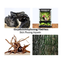 KEO XỊT MIUS MOS GUM -  DÁN RÊU, DÁN CÂY CHO HỒ BÁN CẠN, KIỂNG LÁ