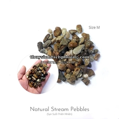 FEMOLAY NATURAL STREAM GRAVEL SIZE M - SẠN SUỐI TỰ NHIÊN