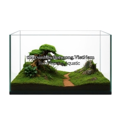 BONSAI MINI TÁN ĐỔ TRÁI QUA PHẢI - TIỂU CẢNH GỖ LŨA