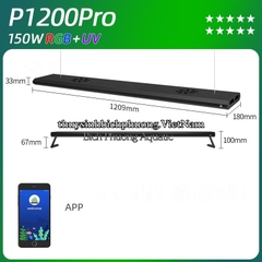 ĐÈN LED WEEK P PRO SERIES RGB-UV P600 | P900 | P1200