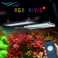 ĐÈN LED CHIHIROS RGB VIVID 2 PHIÊN BẢN KỶ NIỆM 10 NĂM