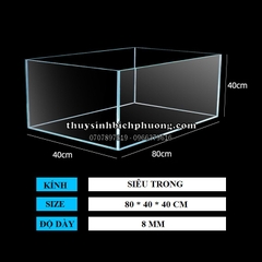 HỒ KÍNH CHỮ NHẬT SIÊU TRONG TSA VIỆT NAM