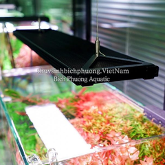 KIT CHIHIROS WRGB 2 SLIM & WRGB 2 PRO - CÁP TREO ĐÈN