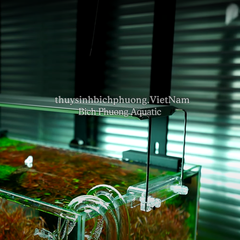 ĐÈN LED CHIHIROS A2 MAX LED LIGHT