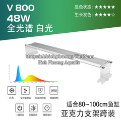 ĐÈN LED WEEK RAPTOR WRGB