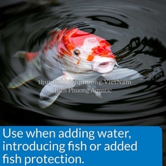 API POND STRESS COAT - GIẢM STRESS, GIÚP CÁ SUNG, ĂN MẠNH