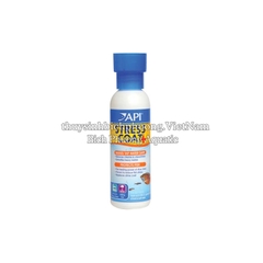 API STRESS COAT - THẦN DƯỢC GIÚP GIẢM STRESS , GIÚP CÁ SUNG , ĂN MẠNH