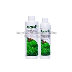 PTV MACROS P+ PHÂN NƯỚC THỦY SINH BỔ SUNG PHOSPHATE