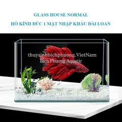 HỒ KÍNH ĐÚC 1 MẶT ĐÀI LOAN