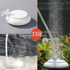 ĐĨA SỦI OXY SIÊU MỊN T50 / T100