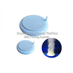 ĐĨA SỦI OXY SIÊU MỊN T50 / T100