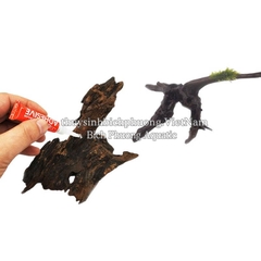 KEO DÁN CÂY - AQUA WORLD CYANOACRYLATE ADHESIVE