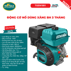 Động cơ nổ 13HP - TGEN1881