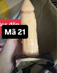 ma21