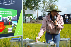 Hội thảo kỹ thuật & mô hình trình diễn – “phòng thí nghiệm thực tế” trên đồng ruộng