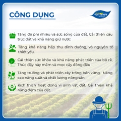 PHÂN GÀ HỮU CƠ Ý RIGEL