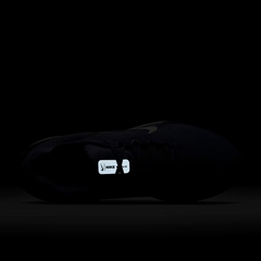 Giày chạy bộ Nike Air Winflo 11 Nam FJ9509-405