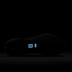 Giày chạy bộ Nike Air Winflo 11 Nam FJ9509-002