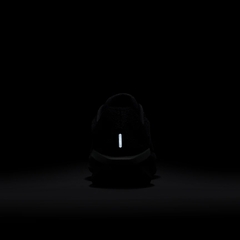 Giày chạy bộ Nike Air Winflo 11 Nam FJ9509-002