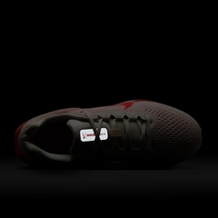 Giày chạy bộ Nike RUNNING WINFLO 11 Nữ - FJ9510-105