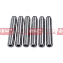 Ống dẫn hướng xupap 1250VE | 20817648