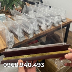 Biển Chức Danh Mica Đế Gỗ Mặt 12.5x25cm