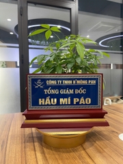 Sơn nền BCD