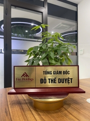 Biển Chức Danh Gỗ Đồng 01 Mặt 11x32cm