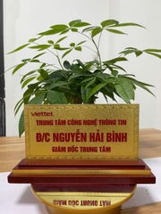 Biển Chức Danh Tam Cấp Mặt Đồng 2mm 11x22cm (Mẫu Viettel)
