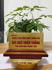 Biển Chức Danh Tam Cấp Mặt Đồng 2mm 11x22cm (Mẫu Viettel)