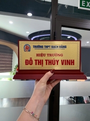 Biển Chức Danh Nhị Cấp Gỗ Đồng 02 Mặt 12.5x25cm