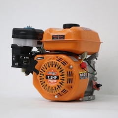 Động cơ nổ Pona PN200 7.5HP Cam Cốt xéo