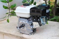 Động cơ nổ Pona PN160 5.5HP Cam-trắng-đen 4 thì