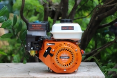 Động cơ nổ Pona PN160 5.5HP Cam-trắng-đen 4 thì