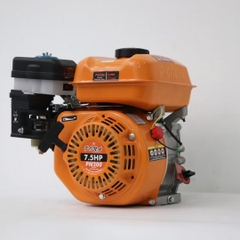 Động cơ nổ PONA PN200 7.5HP Cam Cốt thẳng