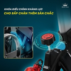Xe đạp tập thể dục Queen Crown 200 Sport