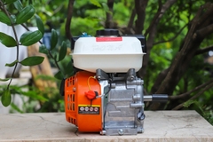 Động cơ nổ Pona PN160 5.5HP Cam-trắng-đen 4 thì