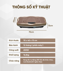 Máy rung toàn thân Queen Crown FR48