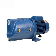 Máy Bơm Nước Lead MJSW/3BL (1500W)