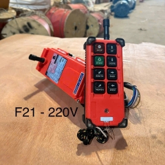 Điều khiển từ xa F21 220V