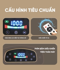 Máy rung toàn thân Queen Crown FR48