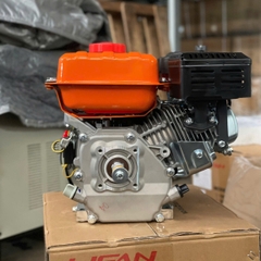 Động cơ Xăng Lifan 200
