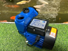 Điện Máy Minh Thành HD - Máy Bơm Chân Không 370w - 220v Hút Sâu : 8m Cột Áp : 42 m  Lưu Lượng : 67 l/min  Họng hút xả : 27/34mm Cánh Đồng Cốt inox THương Hiệu HAPPY Dây Đồng  Bảo Hành : 12 tháng