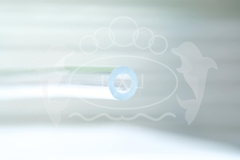 ỐNG TRẮNG DẺO LÝ XUÂN LAN LXL PHI 3 ĐẾN PHI 60