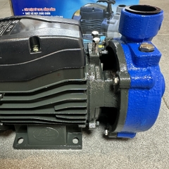 MÁY BƠM NƯỚC LY TÂM BẢO LONG 370W CÁ SẤU 1DK-15 HÚT XẢ 25/25 LƯU LƯỢNG 2 ĐẾN 6.5M3/H MAX 15M CÁNH PPO CỐT HỢP KIM BƠM TƯỚI TIÊU DÂN DỤNG