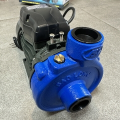 MÁY BƠM NƯỚC LY TÂM BẢO LONG 370W CÁ SẤU 1DK-15 HÚT XẢ 25/25 LƯU LƯỢNG 2 ĐẾN 6.5M3/H MAX 15M CÁNH PPO CỐT HỢP KIM BƠM TƯỚI TIÊU DÂN DỤNG