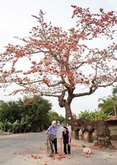 NGƯỜI GIÀ NÊN TRÁNH