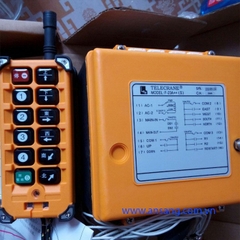 Điều khiển cẩu trục từ xa 12 nút Telecrane F23-A++ (S)